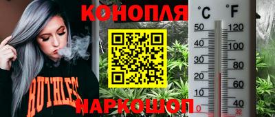 ГАЛЛЮЦИНОГЕННЫЕ ГРИБЫ Кимры