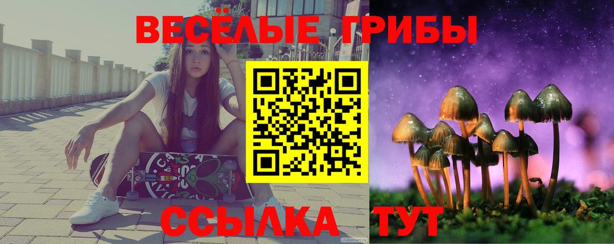Псилоцибиновые грибы Magic Shrooms  наркота  Кулебаки  Вход с VPN 
